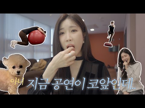 콘서트 준비와 이감쟈 브이로그