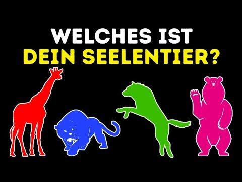 Video: Welches ist ein Heteropolymer?