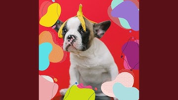 Pulsating Backdrops for Doggy Nap Time