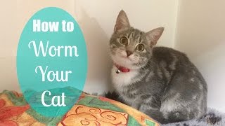 Ever come home from the vets & wish you'd paid more attention to how
give your cat a tablet? watch my local making it look so easy! if
you've enjoyed...