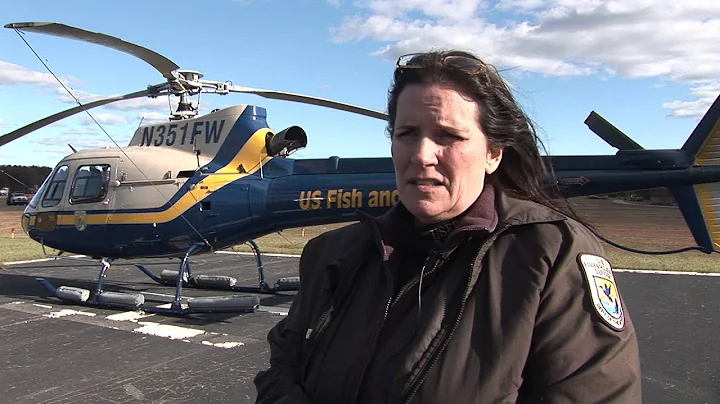 An interview with Long Island, NY National Wildlif...