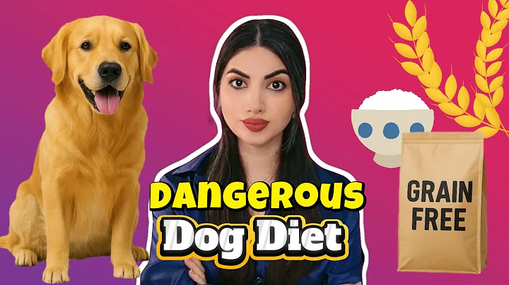 Are Grains Harmful for Dogs?| Grain Free Dog Food Dangers!