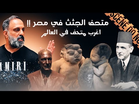 فيديو: متحف أندرياكا في موسكو