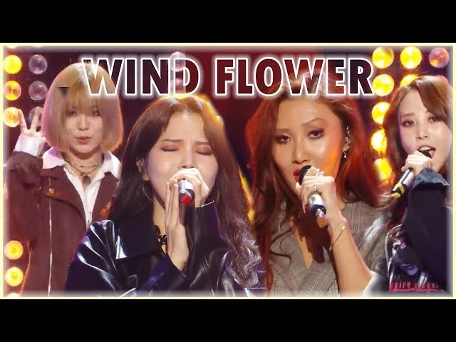 [Comeback Stage] MAMAMOO  - Wind Flower, 마마무 -  Wind Flower  Show Music core 20181201 class=