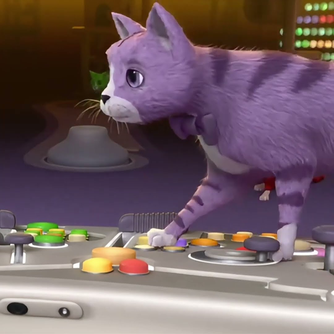 SERÁ QUE AS EMOÇÕES DO GATO SÃO DESSE JEITO? #shorts