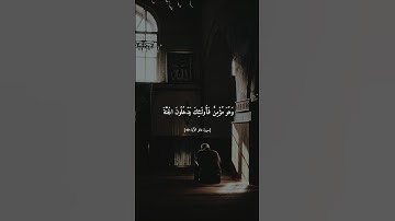 #سورة_غافر القارئ #المنشاوي
