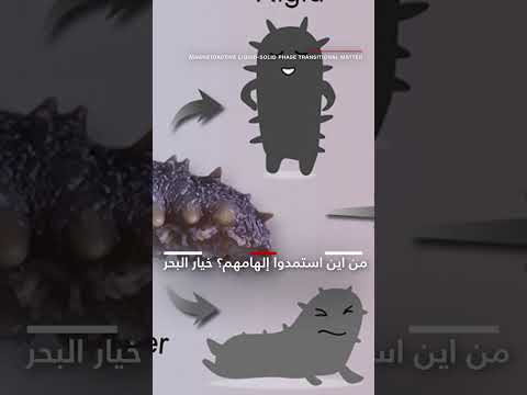 فيديو لروبوت صغير جد ا يمكنه الذوبان شاهد كيف أزال جسم ا من نموذج معدة إنسان 