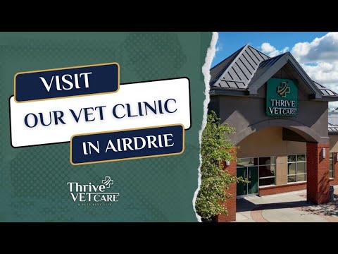 See Our New Airdrie Vet Clinic Airdrie's Vet Since 1981, Thrive Vet Care