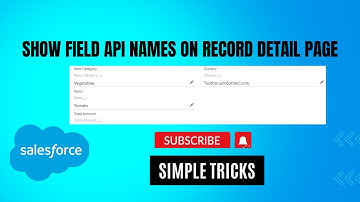 Show field api names on Lightning Record Page || Simple tricks in Salesforce || Salesforce in Hindi