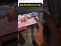 Zig Zag Movment 🔥