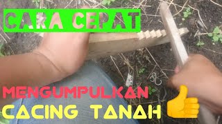 Cara memanggil cacing | dengan Getaran???