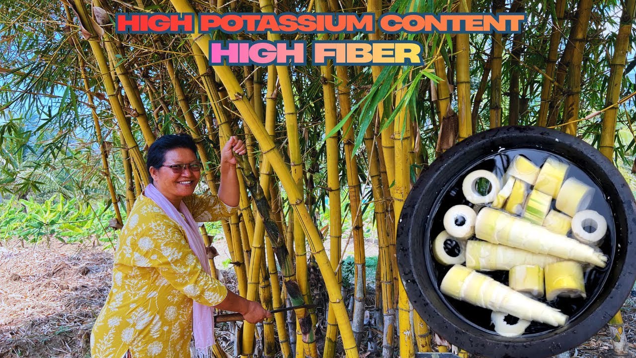 மூங்கில் சுடு | Tasty Bamboo Shoots Recipe | High Potassium & Fiber Is very important For Everyone!