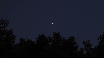 سورة الصافات | فَمَا ظَنُّكُم بِرَبِّ ٱلۡعَٰلَمِينَ | القارئ: عاصم اللحيدان #قرآن