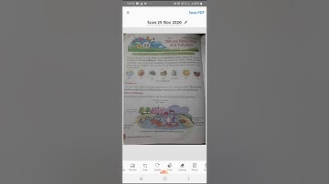 Class 3rd |evs|ch 22 Natural resources & pollution part 1| Natural resources