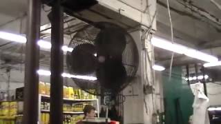 Vintage Dayton wall fans