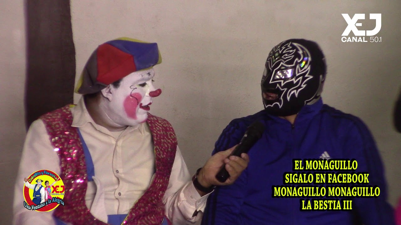 PROGRAMA 189 MONAGULLILLO LUCHADOR camera iphone 8 plus apk