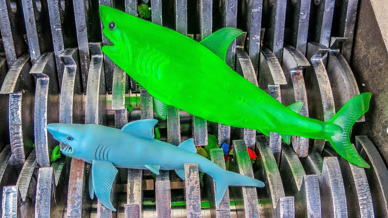 Shredding Sharks! Sharks and Jungle Animals Destroyed! What's Inside Water Bath Toys! Squishy Animal