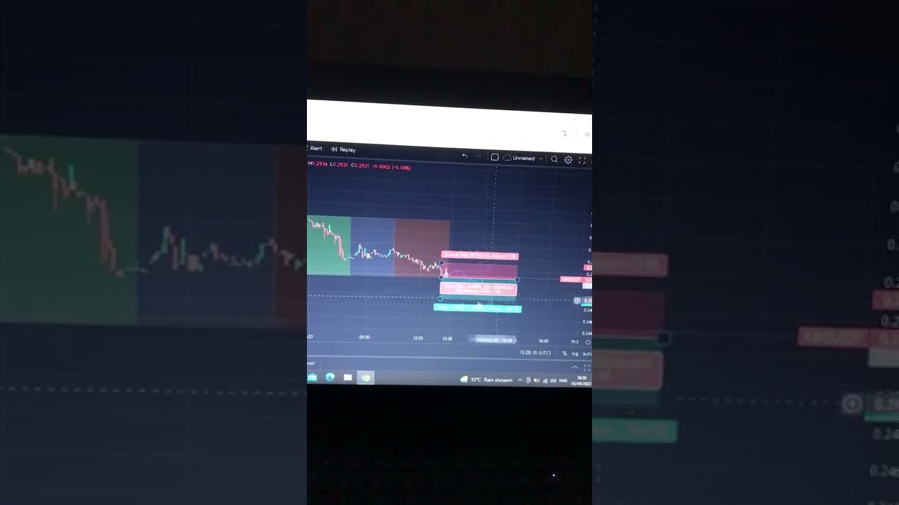 The Echo Forecast | Indicator which predicts The Future 🎯| Best For Scalpers📈🔥