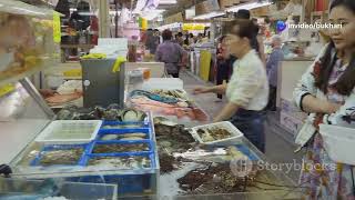 Discover Japan's Must Visit Tourist Spot 2025