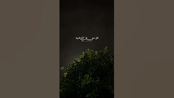 تكفون ياللي تشوفونه بندر بن عوير تكفون 