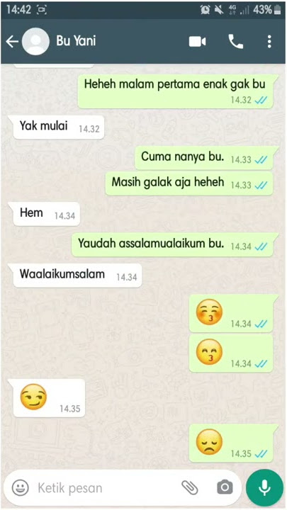 Prank chat whatsapp wik wik