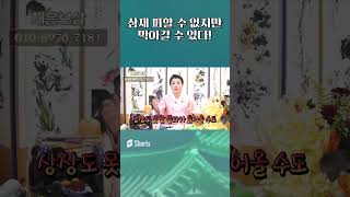 삼재 피해 갈 수 없다고?그러면?#shorts