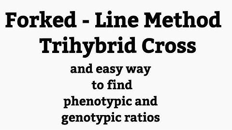 Forked line method - Trihybrid cross tutorial 1