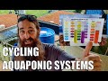 How to Cycle An Aquaponics System