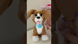 Fur Real Sevimli Köpeğim Tanıtım -Çoçuk Videoları