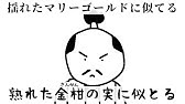 英語 2 だった奴が めざせポケモンマスター を英語で歌ってみた結果ｗｗｗｗｗｗｗ Youtube