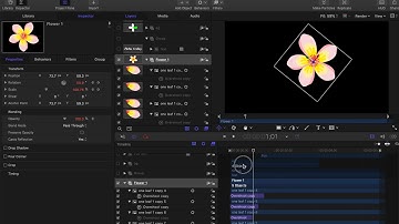 Apple Motion Walkthrough: Animation #1, Overshoot, Randomize, Keyframing, Image Mask