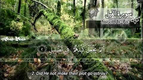 الشيخ ماهر المعيقلي سورة الفيل - جودة عالية | Maher Almuaiqly Surat Al-Fil - High Quality