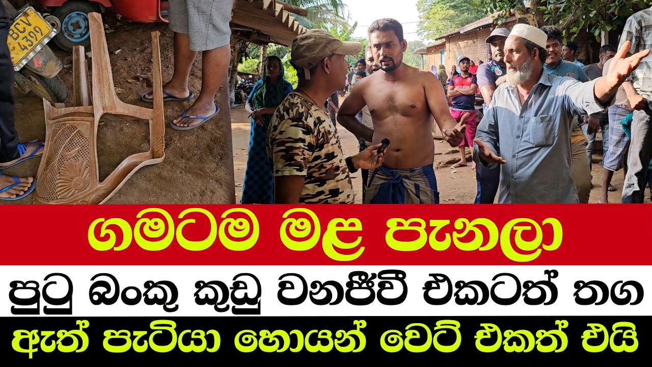 ගමටම මළ පැනලා | පුටු බංකු කුඩු  වනජීවී එකටත් තග | ඇත් පැටියා හොයන් වෙට් එකත් එයි