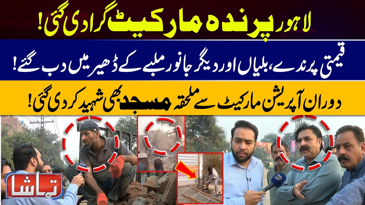 LDA Operation Destroys Lahore Bird Market & Mosque | Priceless Animals ...