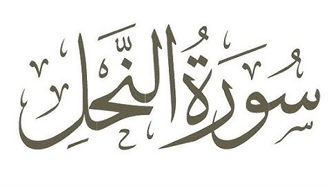 سورة النحل من 125 الى 128 مكررة