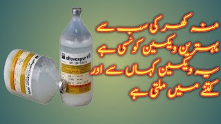 Foot and mouth disease best vaccine II Price and availability of FMD vaccine in urdu hindi