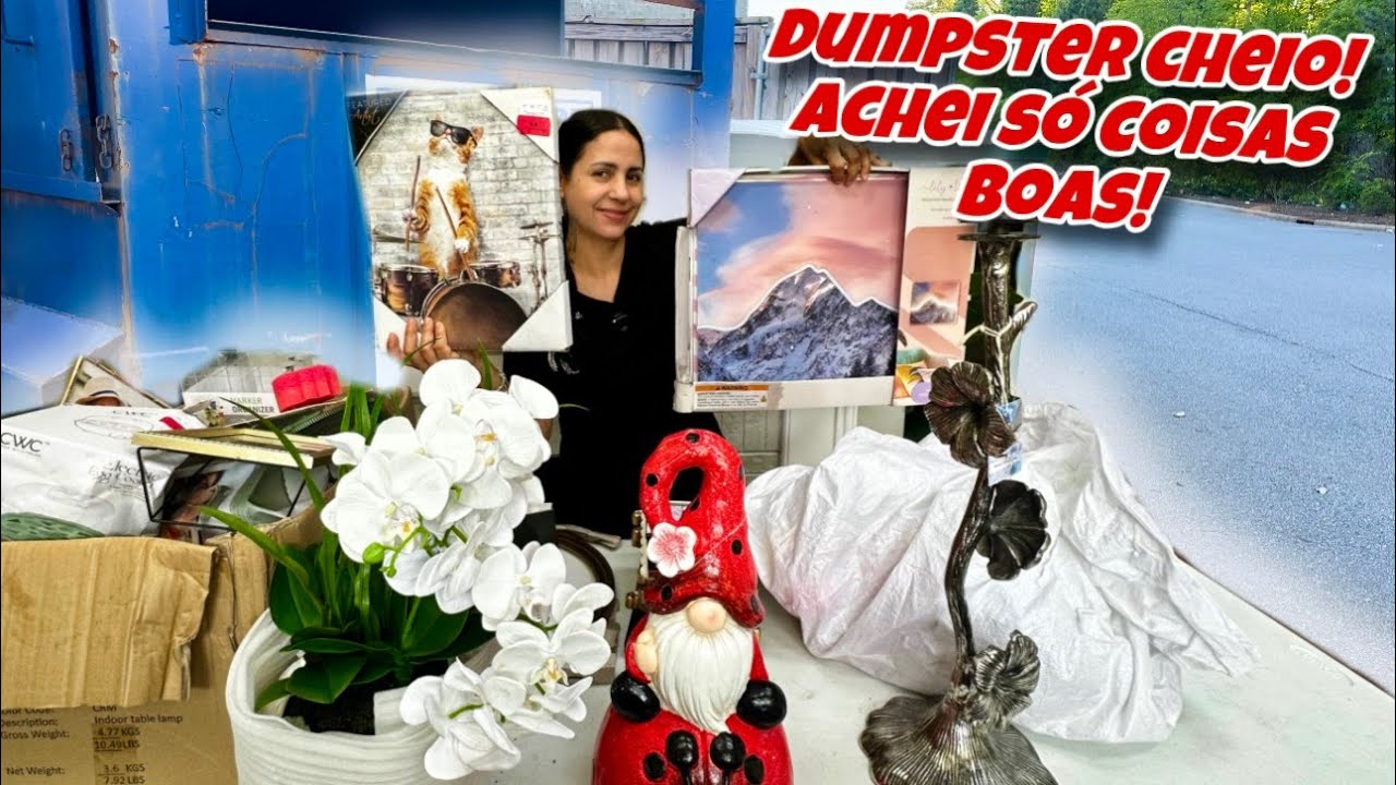 Dumpster cheio só achei coisas boas!
