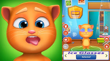 Talking Cat Tommy Gameplay Walkthrough Part 3