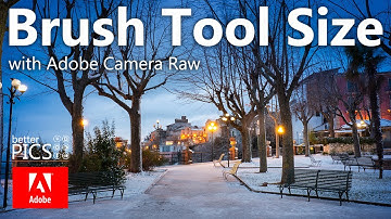 How to adjust your brush tool in Adobe Camera Raw - Super fast | #BrushTool #Mask #AdobeCameraRaw