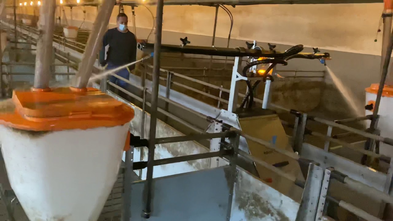 Wash Power ProCleaner X100 sertés mosórobot áztató programja YouTube