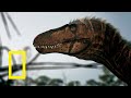 DINOSAURIOS: LUCHA A MUERTE | NATIONAL GEOGRAPHIC | DOCUMENTAL COMPLETO | HD