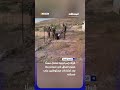 قوات إسرائيلية تعتقل مسن ا مبتور الساق في مسافر يطا بعد اعتداءات مستوطنين على مسكنه اخبار المشهد