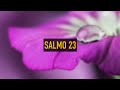 Salmo 23 - Iveline - Playback