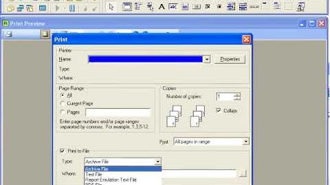 ReportBuilder PDF EXCEL export demo