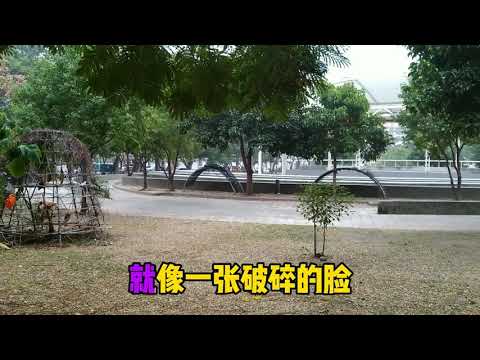 蔡琴 恰似你的溫柔