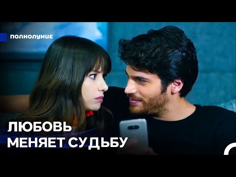 Самые Любимые Сцены #15: Между Становятся Третьи Лица - Полнолуние