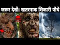 शिकारी पौधे जो कीड़ों का शिकार करके अपना भोजन करते हैं। Dangerous tress in the world