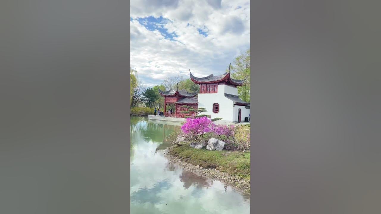 Blooming at Chines garden | Montreal Botanical garden| vườn China ở ...