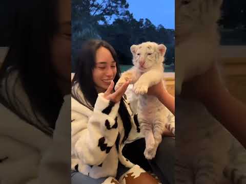 Veronica Perasso Beautiful Women Shorts Viralshorts Ytshorts