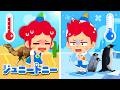 あついところのどうぶつ！🔥さむいところのどうぶつ！❄️｜たいけつ童謡メドレー｜ジュニートニー JunyTony